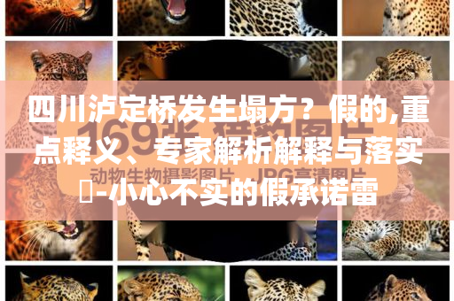 四川瀘定橋發(fā)生塌方？假的,重點(diǎn)釋義、專(zhuān)家解析解釋與落實(shí)?-小心不實(shí)的假承諾雷