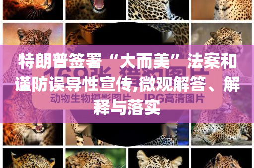 特朗普簽署“大而美”法案和謹(jǐn)防誤導(dǎo)性宣傳,微觀解答、解釋與落實(shí)