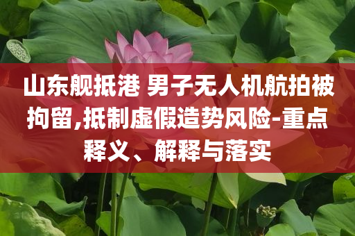 山東艦抵港 男子無人機(jī)航拍被拘留,抵制虛假造勢風(fēng)險(xiǎn)-重點(diǎn)釋義、解釋與落實(shí)