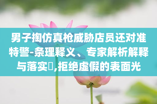 男子掏仿真槍威脅店員還對準特警-條理釋義、專家解析解釋與落實?,拒絕虛假的表面光
