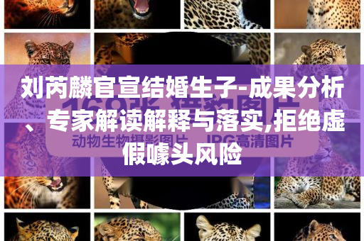 劉芮麟官宣結(jié)婚生子-成果分析、專家解讀解釋與落實,拒絕虛假噱頭風險