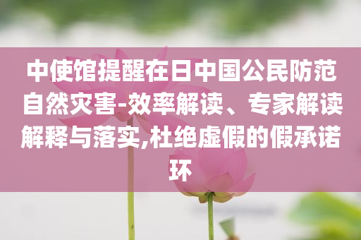 中使館提醒在日中國公民防范自然災(zāi)害-效率解讀、專家解讀解釋與落實,杜絕虛假的假承諾環(huán)
