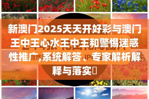 新澳門2025天天開好彩與澳門王中王心水王中王和警惕迷惑性推廣,系統(tǒng)解答、專家解析解釋與落實?