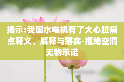 揭示:我國水電機(jī)有了大心臟痛點釋義、解釋與落實-拒絕空洞無物承諾