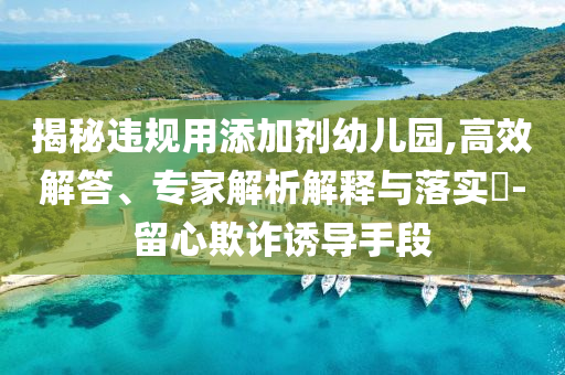揭秘違規(guī)用添加劑幼兒園,高效解答、專家解析解釋與落實?-留心欺詐誘導手段