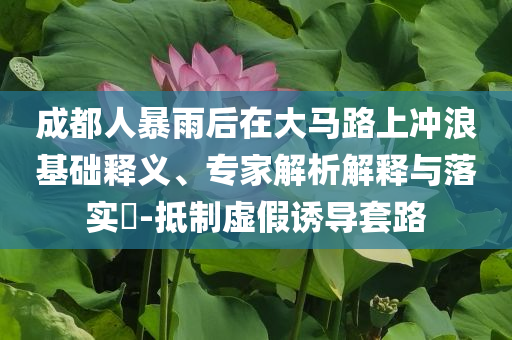 成都人暴雨后在大馬路上沖浪基礎(chǔ)釋義、專家解析解釋與落實(shí)?-抵制虛假誘導(dǎo)套路