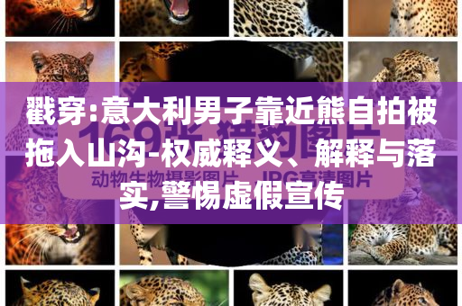 戳穿:意大利男子靠近熊自拍被拖入山溝-權(quán)威釋義、解釋與落實,警惕虛假宣傳