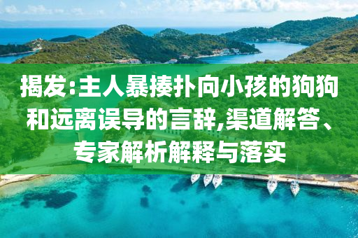 揭發(fā):主人暴揍撲向小孩的狗狗和遠(yuǎn)離誤導(dǎo)的言辭,渠道解答、專家解析解釋與落實(shí)