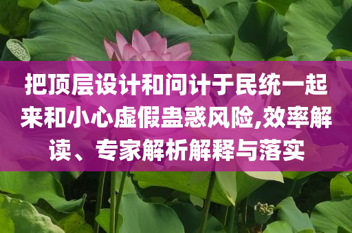 把頂層設(shè)計(jì)和問計(jì)于民統(tǒng)一起來和小心虛假蠱惑風(fēng)險,效率解讀、專家解析解釋與落實(shí)