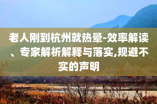 老人剛到杭州就熱暈-效率解讀、專家解析解釋與落實,規(guī)避不實的聲明