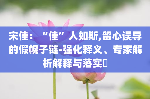 宋佳：“佳”人如斯,留心誤導(dǎo)的假幌子鏈-強(qiáng)化釋義、專家解析解釋與落實(shí)?