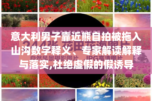 意大利男子靠近熊自拍被拖入山溝數(shù)字釋義、專家解讀解釋與落實(shí),杜絕虛假的假誘導(dǎo)