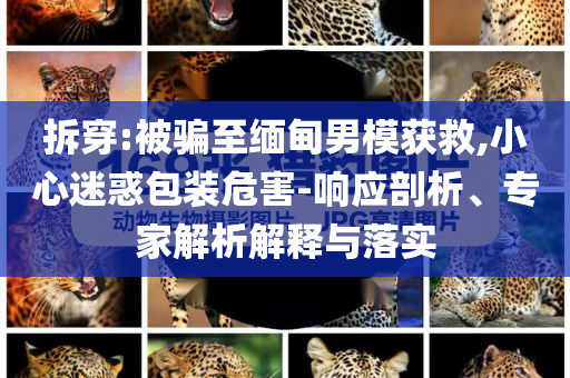 拆穿:被騙至緬甸男模獲救,小心迷惑包裝危害-響應剖析、專家解析解釋與落實