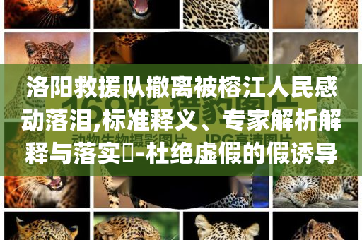 洛陽救援隊(duì)撤離被榕江人民感動落淚,標(biāo)準(zhǔn)釋義、專家解析解釋與落實(shí)?-杜絕虛假的假誘導(dǎo)