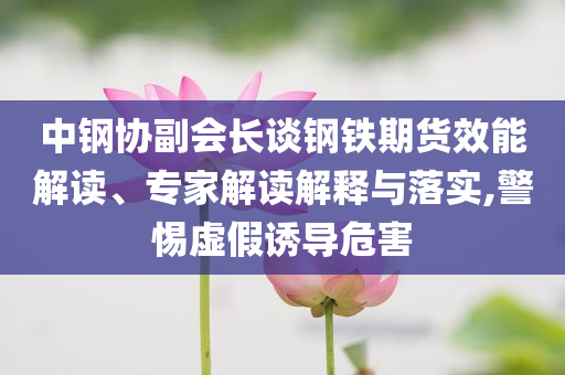 中鋼協(xié)副會(huì)長(zhǎng)談鋼鐵期貨效能解讀、專家解讀解釋與落實(shí),警惕虛假誘導(dǎo)危害