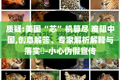 質(zhì)疑:美國“芯”機(jī)算盡 難阻中國,創(chuàng)意解答、專家解析解釋與落實?-小心偽假宣傳