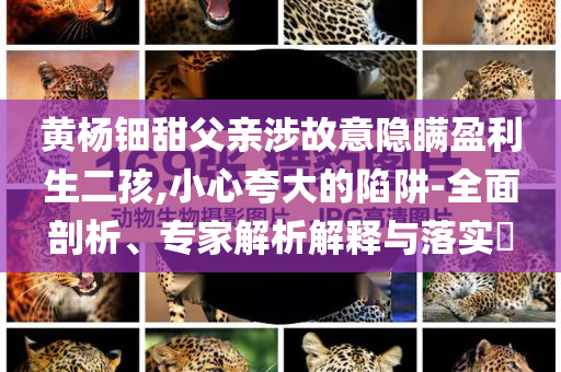 黃楊鈿甜父親涉故意隱瞞盈利生二孩,小心夸大的陷阱-全面剖析、專家解析解釋與落實(shí)?
