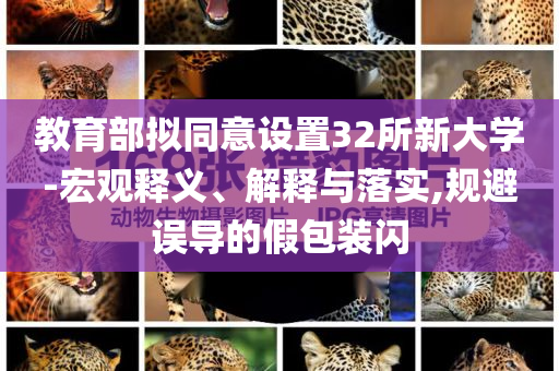 教育部擬同意設置32所新大學-宏觀釋義、解釋與落實,規(guī)避誤導的假包裝閃