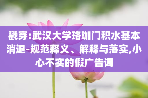 戳穿:武漢大學(xué)珞珈門積水基本消退-規(guī)范釋義、解釋與落實(shí),小心不實(shí)的假廣告詞