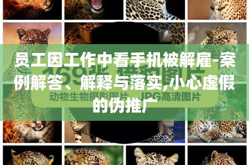 員工因工作中看手機(jī)被解雇-案例解答、解釋與落實(shí),小心虛假的偽推廣