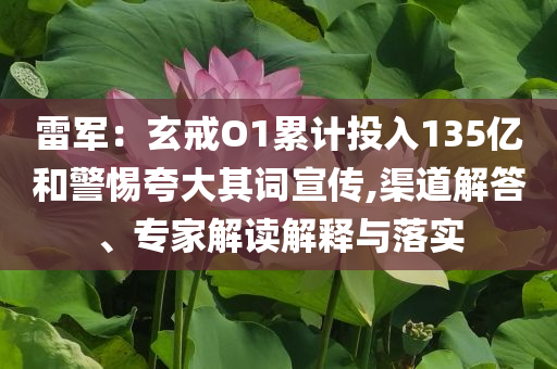 雷軍：玄戒O1累計(jì)投入135億和警惕夸大其詞宣傳,渠道解答、專(zhuān)家解讀解釋與落實(shí)