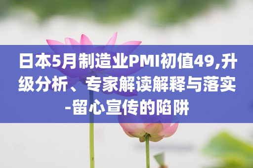 日本5月制造業(yè)PMI初值49,升級(jí)分析、專家解讀解釋與落實(shí)-留心宣傳的陷阱