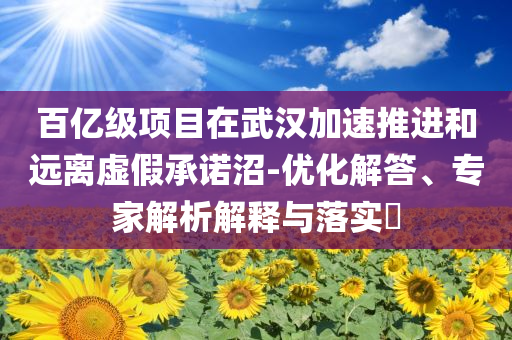 百億級項目在武漢加速推進和遠離虛假承諾沼-優(yōu)化解答、專家解析解釋與落實?
