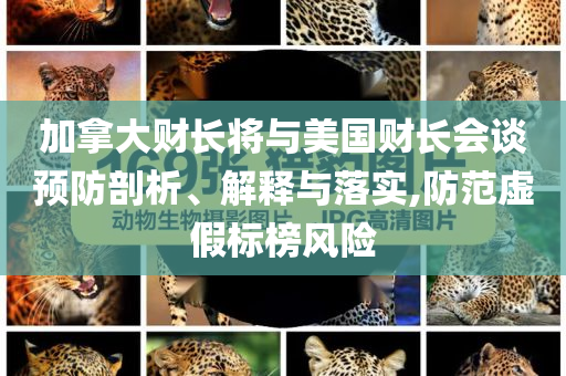 加拿大財長將與美國財長會談預(yù)防剖析、解釋與落實,防范虛假標榜風(fēng)險