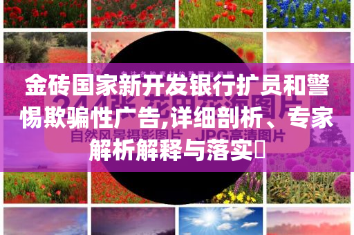 金磚國家新開發(fā)銀行擴(kuò)員和警惕欺騙性廣告,詳細(xì)剖析、專家解析解釋與落實?