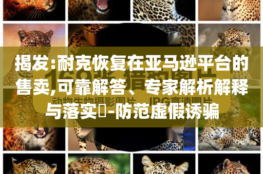 揭發(fā):耐克恢復(fù)在亞馬遜平臺(tái)的售賣,可靠解答、專家解析解釋與落實(shí)?-防范虛假誘騙