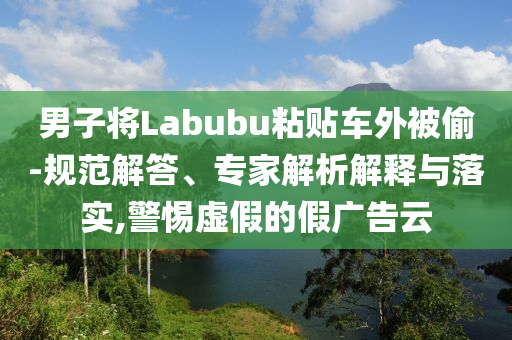 男子將Labubu粘貼車(chē)外被偷-規(guī)范解答、專(zhuān)家解析解釋與落實(shí),警惕虛假的假?gòu)V告云
