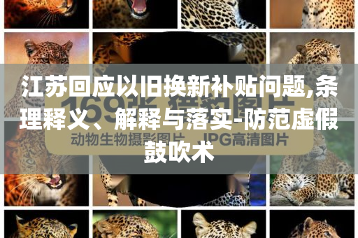 江蘇回應(yīng)以舊換新補(bǔ)貼問(wèn)題,條理釋義、解釋與落實(shí)-防范虛假鼓吹術(shù)