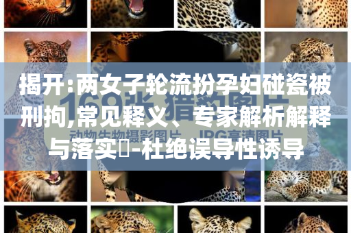 揭開(kāi):兩女子輪流扮孕婦碰瓷被刑拘,常見(jiàn)釋義、專(zhuān)家解析解釋與落實(shí)?-杜絕誤導(dǎo)性誘導(dǎo)