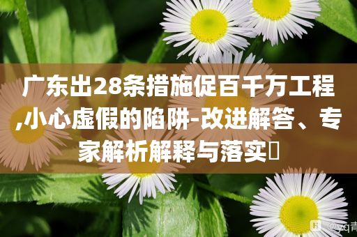 廣東出28條措施促百千萬(wàn)工程,小心虛假的陷阱-改進(jìn)解答、專(zhuān)家解析解釋與落實(shí)?