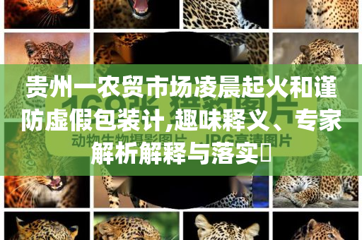 貴州一農(nóng)貿(mào)市場凌晨起火和謹(jǐn)防虛假包裝計(jì),趣味釋義、專家解析解釋與落實(shí)?