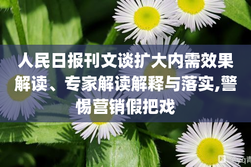 人民日報刊文談擴(kuò)大內(nèi)需效果解讀、專家解讀解釋與落實,警惕營銷假把戲