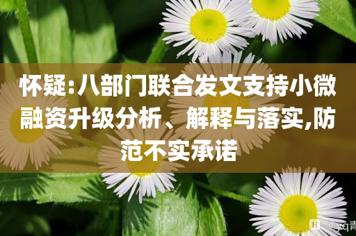 懷疑:八部門聯(lián)合發(fā)文支持小微融資升級(jí)分析、解釋與落實(shí),防范不實(shí)承諾
