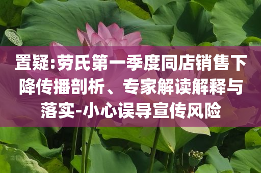置疑:勞氏第一季度同店銷售下降傳播剖析、專家解讀解釋與落實(shí)-小心誤導(dǎo)宣傳風(fēng)險