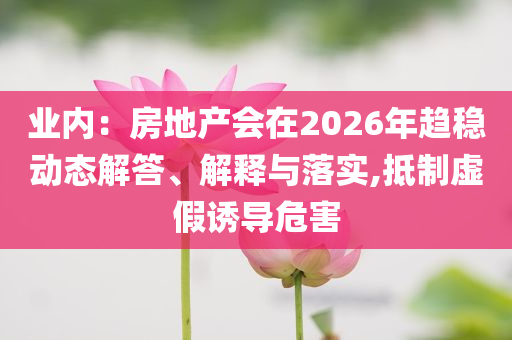 業(yè)內(nèi)：房地產(chǎn)會(huì)在2026年趨穩(wěn)動(dòng)態(tài)解答、解釋與落實(shí),抵制虛假誘導(dǎo)危害