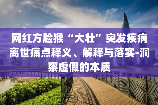 網(wǎng)紅方臉猴“大壯”突發(fā)疾病離世痛點釋義、解釋與落實-洞察虛假的本質(zhì)
