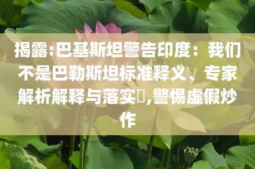 揭露:巴基斯坦警告印度：我們不是巴勒斯坦標(biāo)準(zhǔn)釋義、專家解析解釋與落實(shí)?,警惕虛假炒作