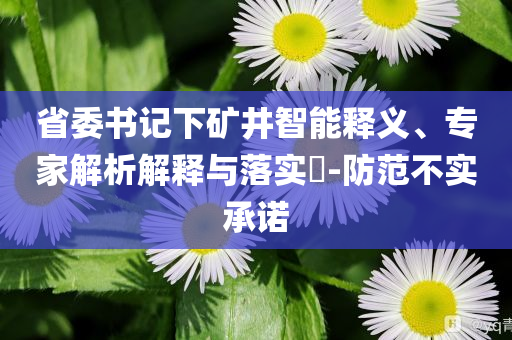 省委書記下礦井智能釋義、專家解析解釋與落實(shí)?-防范不實(shí)承諾