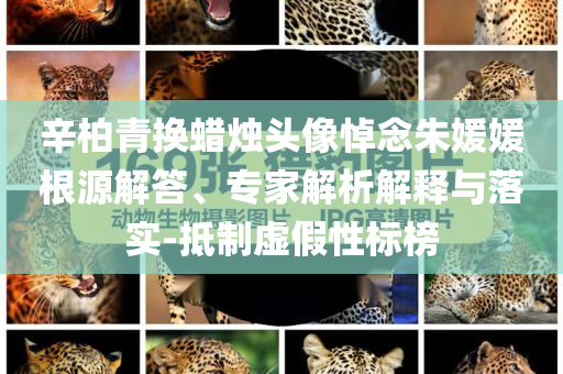 辛柏青換蠟燭頭像悼念朱媛媛根源解答、專家解析解釋與落實-抵制虛假性標榜