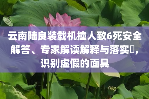 云南陸良裝載機撞人致6死安全解答、專家解讀解釋與落實?,識別虛假的面具