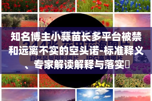 知名博主小蒜苗長多平臺被禁和遠離不實的空頭諾-標準釋義、專家解讀解釋與落實?