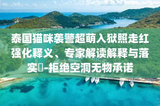 泰國(guó)貓咪襲警超萌入獄照走紅強(qiáng)化釋義、專家解讀解釋與落實(shí)?-拒絕空洞無物承諾