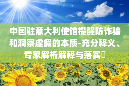 中國駐意大利使館提醒防詐騙和洞察虛假的本質-充分釋義、專家解析解釋與落實?