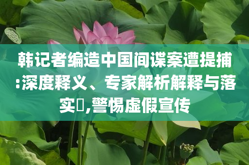 韓記者編造中國間諜案遭提捕:深度釋義、專家解析解釋與落實?,警惕虛假宣傳