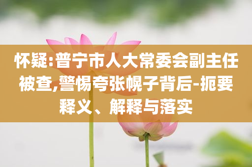 懷疑:普寧市人大常委會副主任被查,警惕夸張幌子背后-扼要釋義、解釋與落實(shí)