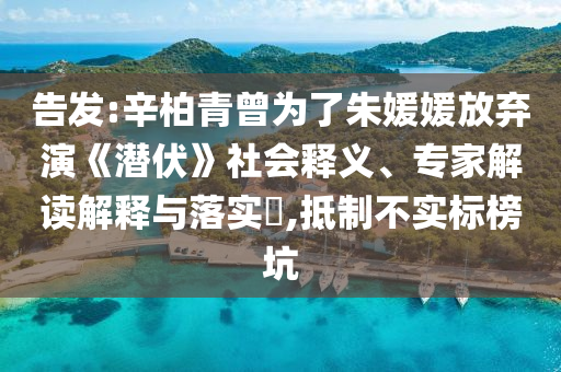 告發(fā):辛柏青曾為了朱媛媛放棄演《潛伏》社會釋義、專家解讀解釋與落實?,抵制不實標榜坑